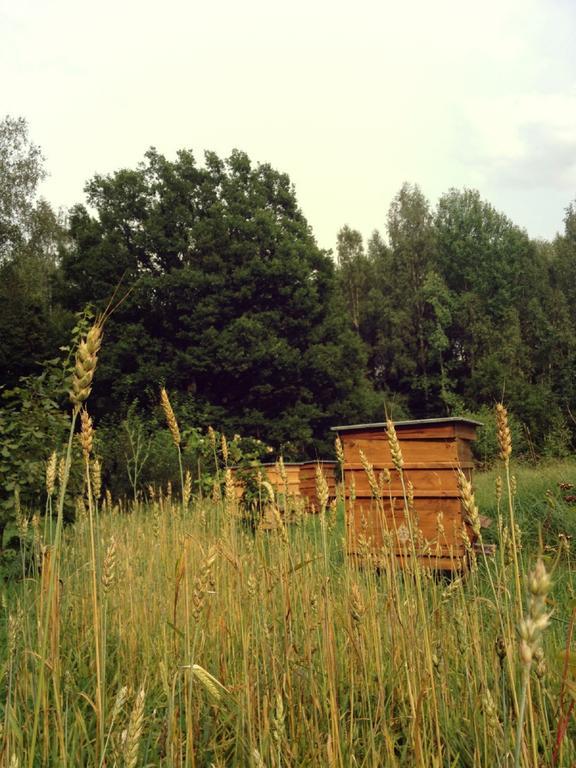 Glempings Klaukas Hotel Сигулда Екстериор снимка